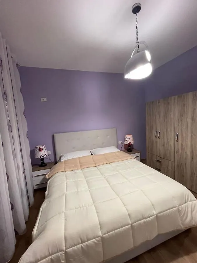 Center Tirana Goldi Apartment